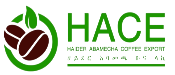 Haider Logo